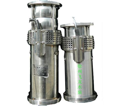不锈钢水泵_不锈钢喷泉专用潜水泵_徐州飞龙机电制造有限公司