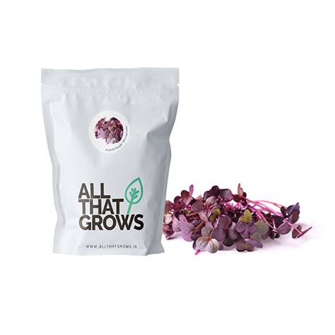 Buy Radish Purple Sango Microgreen Seeds Online from AllThatGrows | Non ...