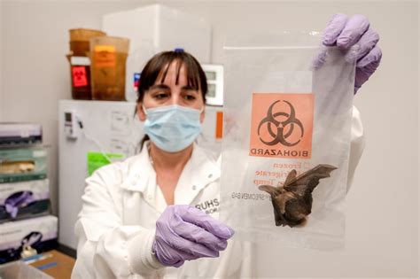 Public health labs are facing budget cuts. Here’s how that may impact ...