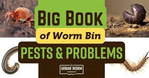 Commercial Worm Production 的图像结果