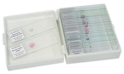 Microscope Set 的图像结果