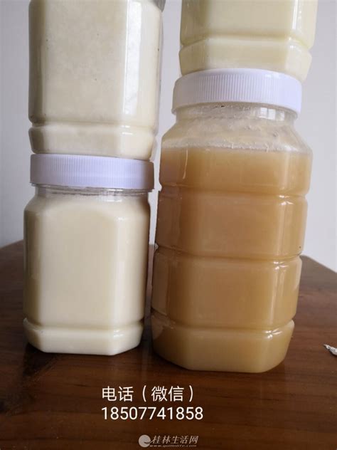 大量批发零售优质奶油蜂蜜 - 礼品/小商品加盟 - 桂林分类信息 桂林二手市场