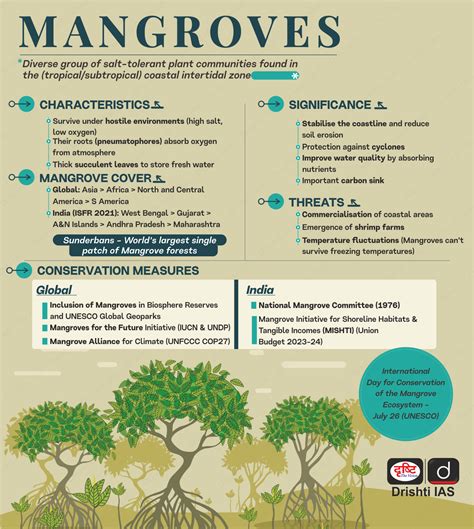 Mangroves Upsc Mangroves Chinmaya IAS Academy Current Affairs