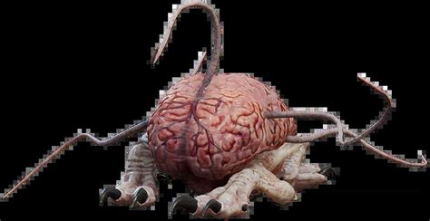 File:Intellect Devourer Model.png - bg3.wiki