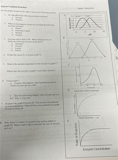 Solved Enzyme Graphing WorksheetTheme: HomeostasisUse the | Chegg.com