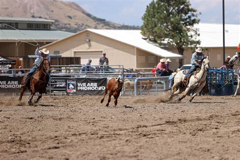 Image result for Team Roping Rodeo