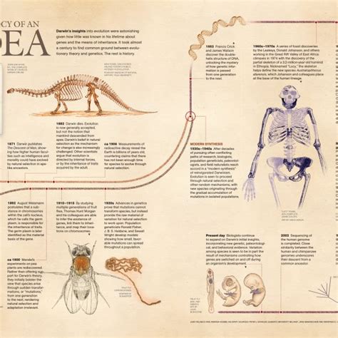 Image result for Who Invented Evolution