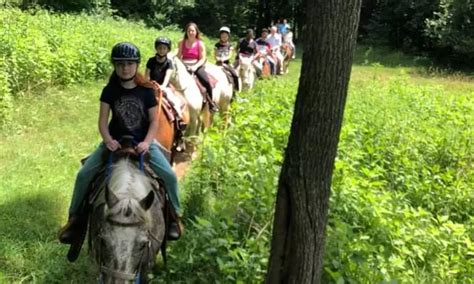 Horseback Riding Near Me - Deals on Horseback Riding Nearby I Groupon