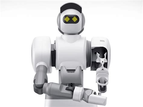 Domestic Robot 的图像结果