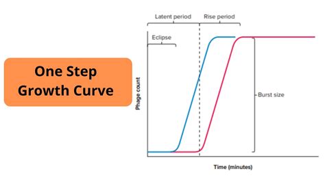 Image result for Multiple-Step Growth Curve