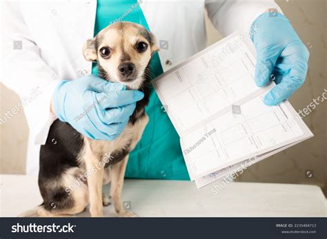 1,271 Dog Doctor Sticker Images, Stock Photos & Vectors | Shutterstock