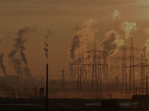 UK's net zero policies: circular economy and embodied carbon | Meer