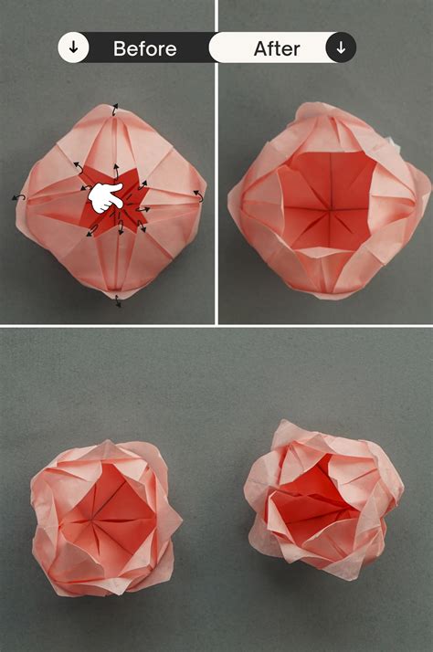 Image result for Origami Lotus Flower Variations