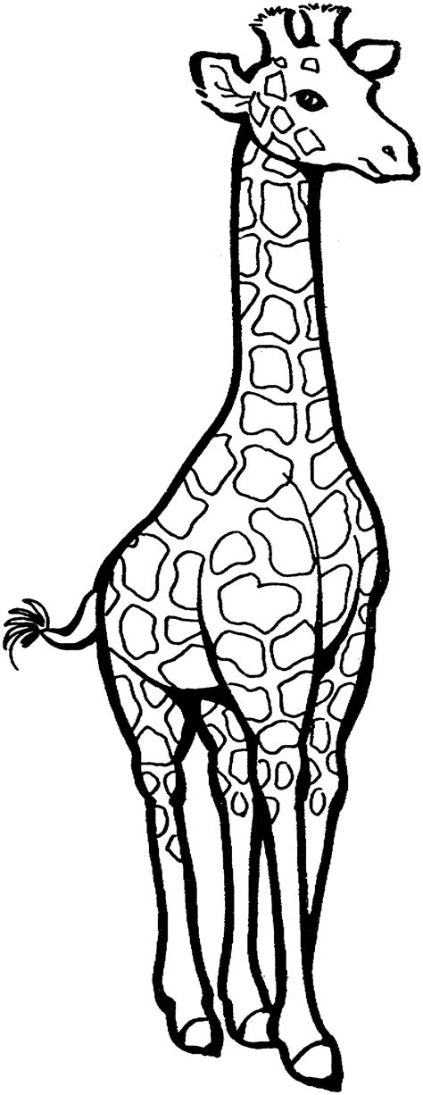 Giraffe Printable Coloring Pages - Printable Word Searches