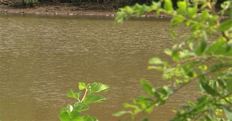Earth Day Anacostia River cleanup highlights restoration efforts | FOX 5 DC