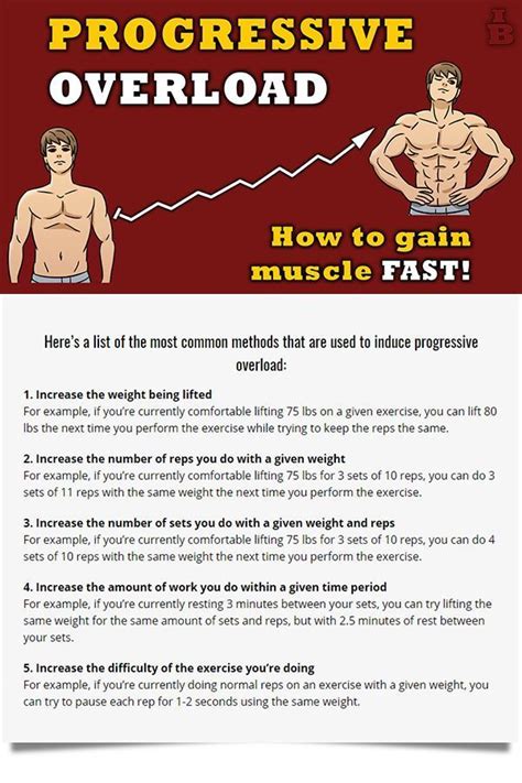 Image result for Progressive Overload Muscle Building