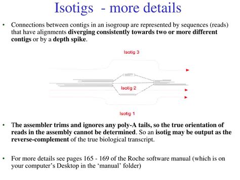 454 Pyrosequencing Steps 的图像结果