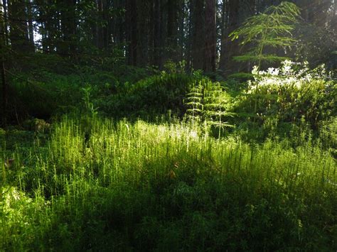 Photography Fieldwork of People 的图像结果