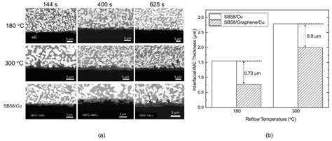 Research Overview on the Electromigration Reliability of SnBi Solder Alloy