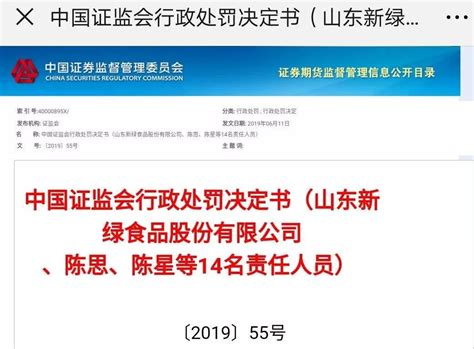 居然制定了造假工作指南！虚增收入7亿多元，虚构银行流水，做三套账，不过，处罚却非常轻！__凤凰网