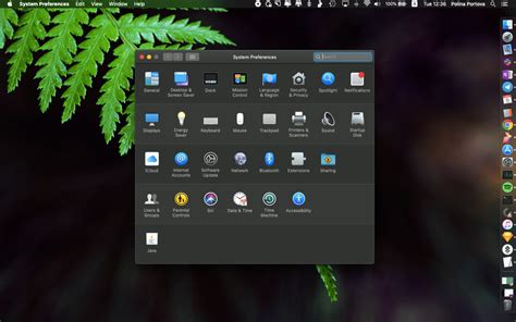 System Folder 的图像结果