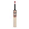 Adidas Master Blaster CX11 J Cricket Bat - Sachin Tendulkar : Amazon.in ...
