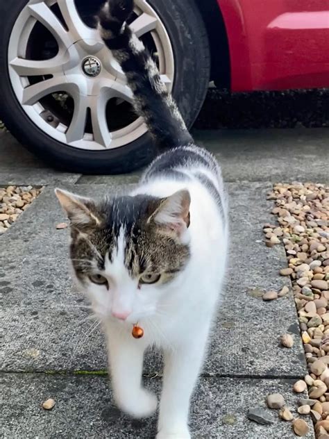 6 years old and still tiny with a babyface. Never change little Timmy ...