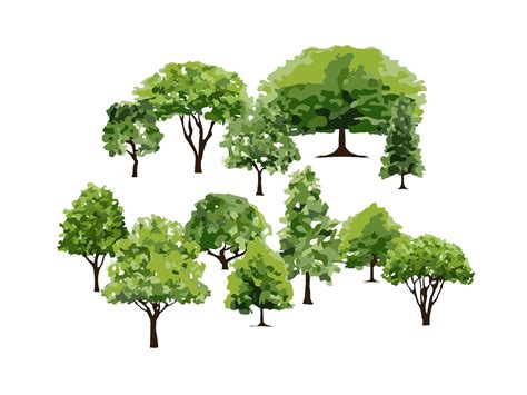 Tree Vector 的图像结果
