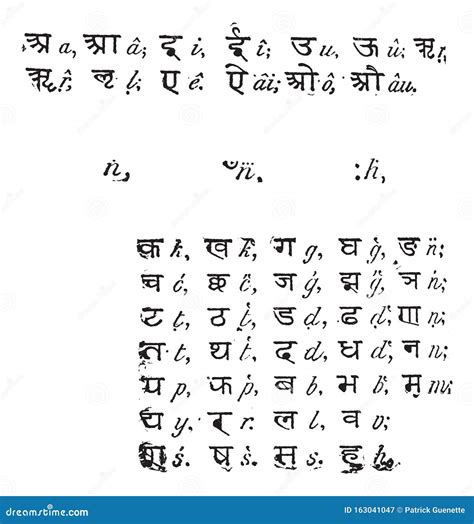 Sanskrit Alphabet, Vintage Engraving Stock Vector - Illustration of ...