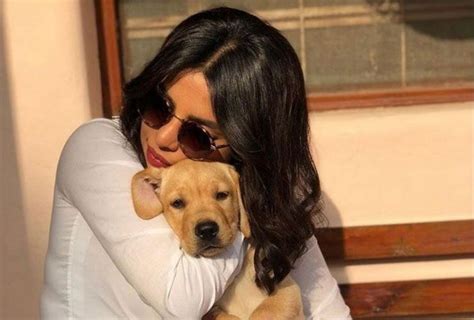 Study States People Who Talk To Their Pets Are Smarter More Intelligent ...