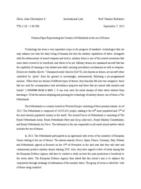 Image result for Model UN Paper Examples