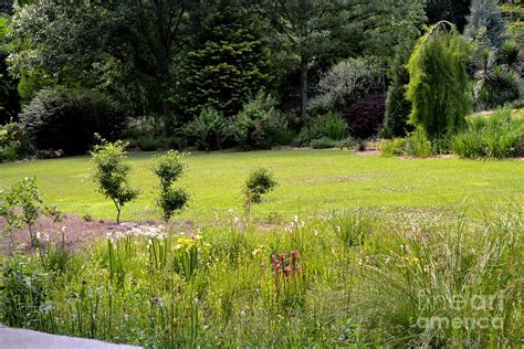 Image result for Springtime View