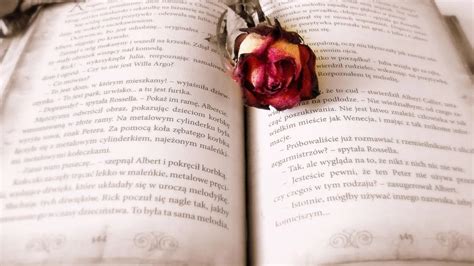 Best Dark Romance Books: From Grey Characters To Shady Plots