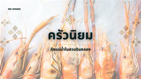 Modern Math 的图像结果