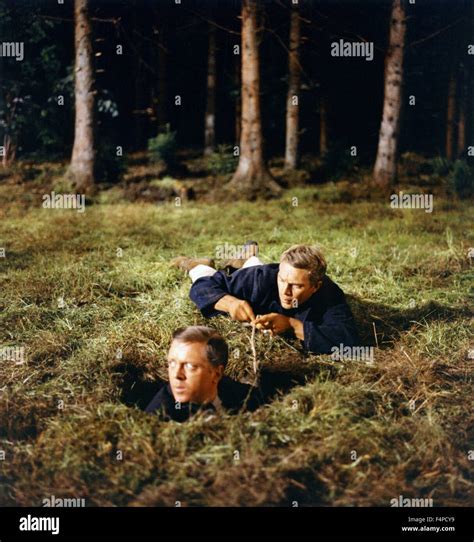 Richard Attenborough, Steve McQueen / The Great Escape 1963 directed by ...