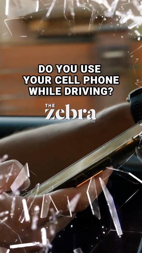 Image result for Zebra Compare Car Insurance