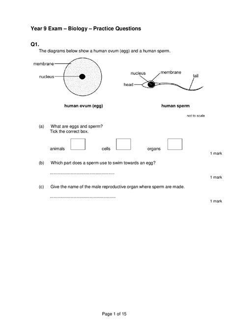 Biology – Practice Test Questions and Answers - Docsity