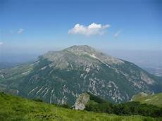 dei fiori montagna dei fiori dei fiori montagna dei fiori