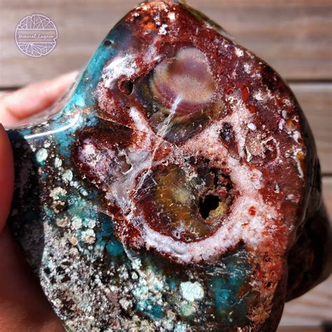 Rare Blue Opalized Petrified Wood Free Form Mineral Specimen Indonesia ...