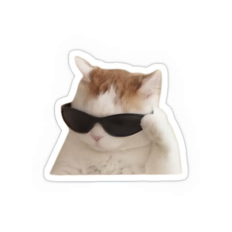 Attitude cat sticker – Inkyprinty.in