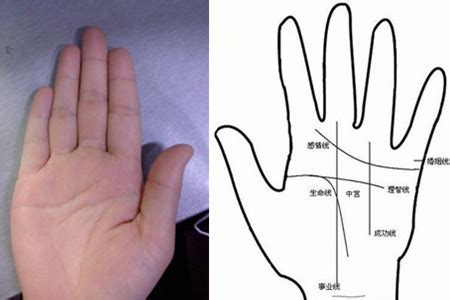从手相角度来看看，手纹很乱很深的手相有什么特点？_掌纹