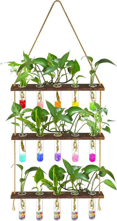 Buy Hydroponic Plant Propagation Station Propagation Tubes, 3 Tiered ...