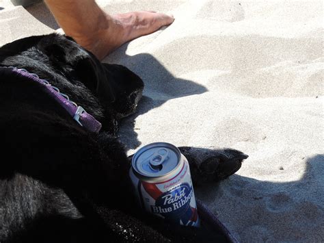 Webb County Park ~ Campground Review | theblackdogchronicles