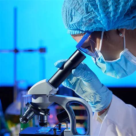 B.Tech LE Biotechnology | Chandigarh University UP