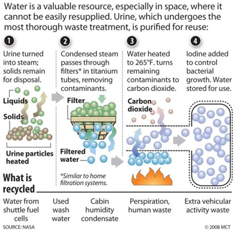 Waste of Space Programming 的图像结果