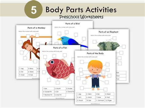 Body Parts Matching Activity Printable, Human Body Parts for Kids, Tod ...