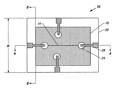 Microfluidic Chip 的图像结果