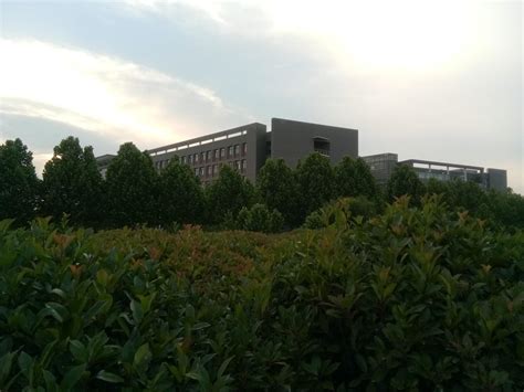 北京大学汉中分校|汉中|分校|北京大学_新浪新闻