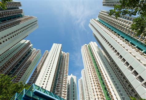 Image result for Apollo Pest Control