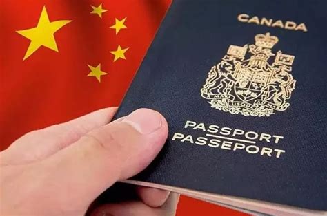 华人亲测：回国探亲十年签证停用，新签证有效期3个月._多伦多_新闻_华人头条